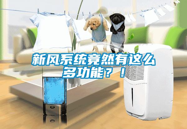 新風系統竟然有這么多功能？！