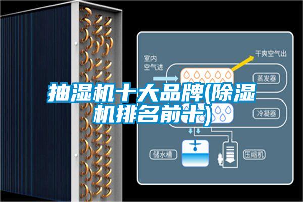 抽濕機(jī)十大品牌(除濕機(jī)排名前十)
