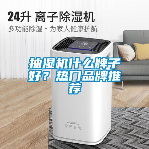 抽濕機什么牌子好？熱門品牌推薦