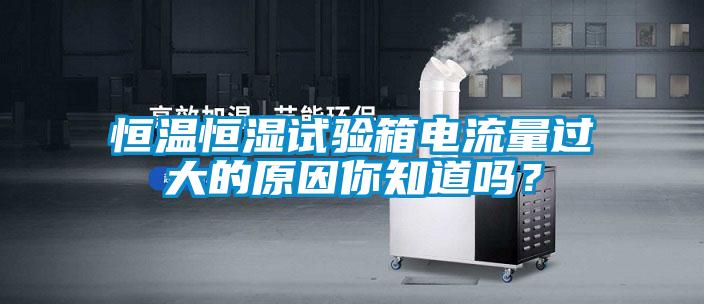 恒溫恒濕試驗(yàn)箱電流量過大的原因你知道嗎？