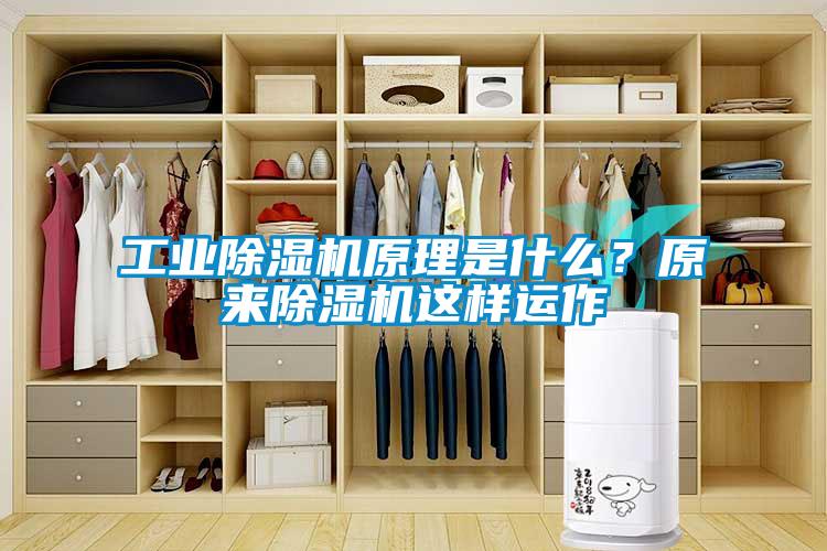 工業(yè)除濕機原理是什么？原來除濕機這樣運作