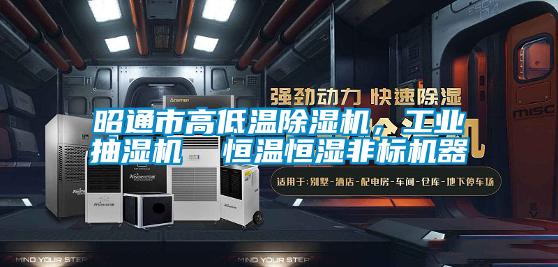 昭通市高低溫除濕機，工業抽濕機  恒溫恒濕非標機器