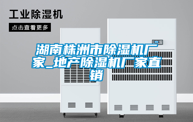 湖南株洲市除濕機(jī)廠家_地產(chǎn)除濕機(jī)廠家直銷