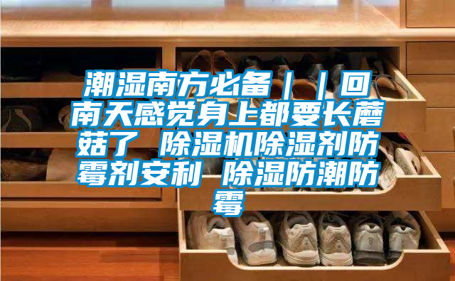 潮濕南方必備||回南天感覺身上都要長蘑菇了 除濕機除濕劑防霉劑安利 除濕防潮防霉