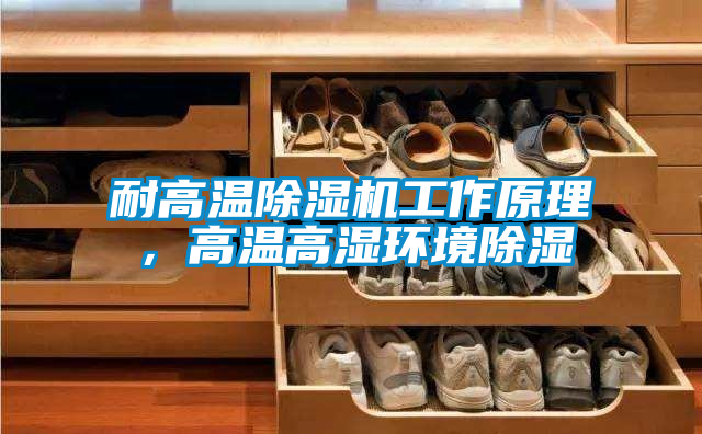 耐高溫除濕機(jī)工作原理，高溫高濕環(huán)境除濕