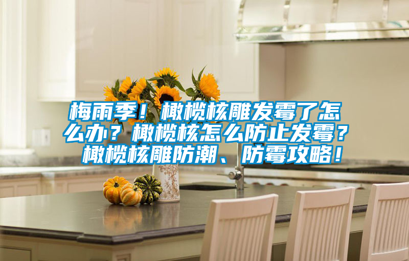 梅雨季！橄欖核雕發(fā)霉了怎么辦？橄欖核怎么防止發(fā)霉？ 橄欖核雕防潮、防霉攻略！