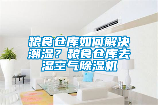 糧食倉庫如何解決潮濕？糧食倉庫去濕空氣除濕機