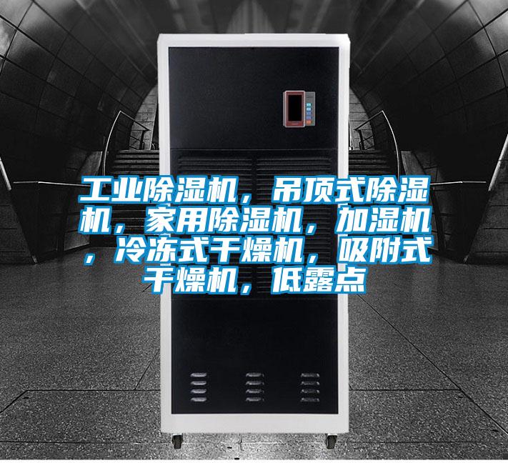 工業(yè)除濕機(jī)，吊頂式除濕機(jī)，家用除濕機(jī)，加濕機(jī)，冷凍式干燥機(jī)，吸附式干燥機(jī)，低露點(diǎn)