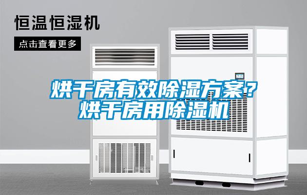 烘干房有效除濕方案？烘干房用除濕機