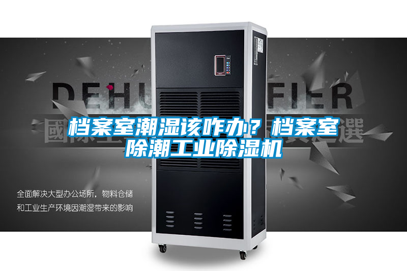 檔案室潮濕該咋辦？檔案室除潮工業除濕機