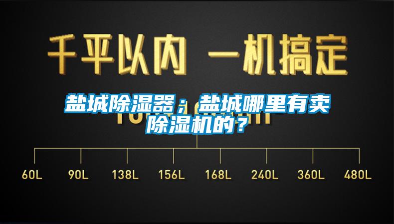 鹽城除濕器；鹽城哪里有賣除濕機的？