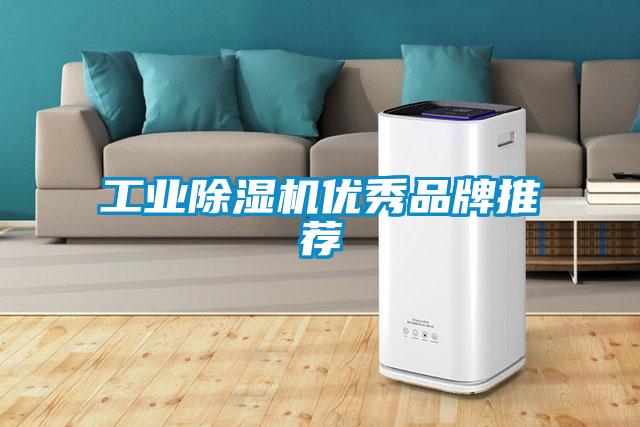 工業(yè)除濕機(jī)優(yōu)秀品牌推薦