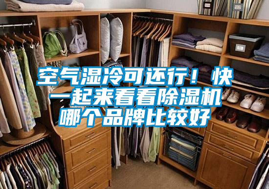 空氣濕冷可還行！快一起來看看除濕機(jī)哪個(gè)品牌比較好