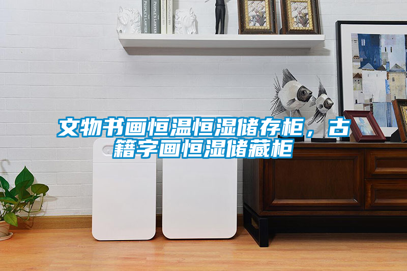 文物書畫恒溫恒濕儲(chǔ)存柜，古籍字畫恒濕儲(chǔ)藏柜
