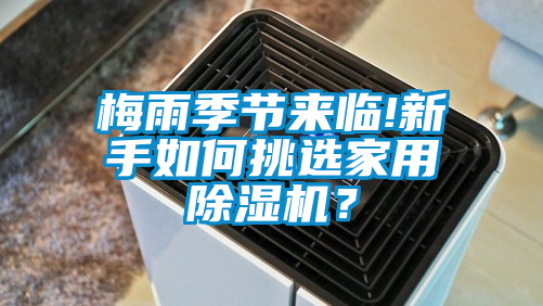 梅雨季節(jié)來(lái)臨!新手如何挑選家用除濕機(jī)？