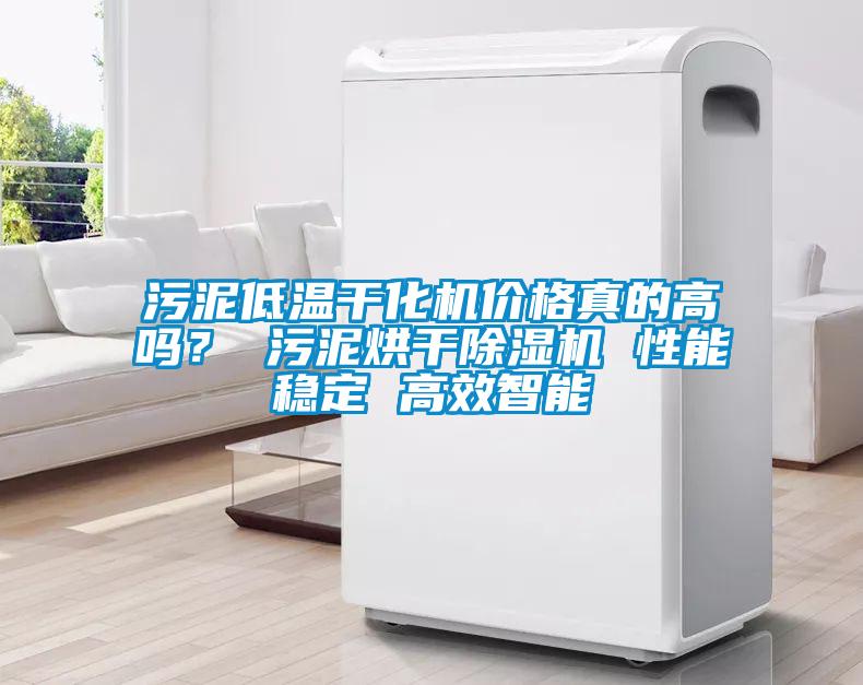 污泥低溫干化機價格真的高嗎？ 污泥烘干除濕機 性能穩(wěn)定 高效智能