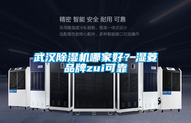 武漢除濕機(jī)哪家好?濕菱品牌zui可靠