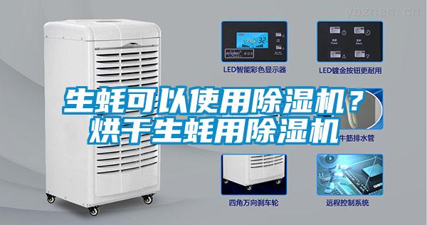 生蠔可以使用除濕機？烘干生蠔用除濕機