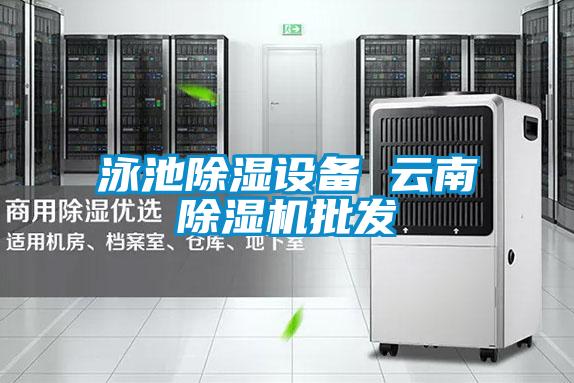 泳池除濕設備 云南除濕機批發