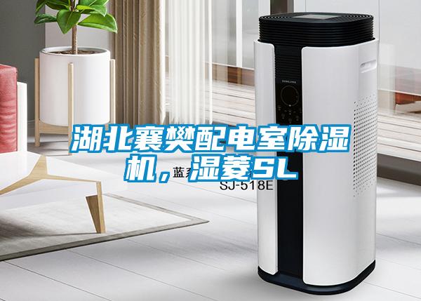 湖北襄樊配電室除濕機，濕菱SL