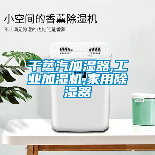 干蒸汽加濕器,工業(yè)加濕機,家用除濕器