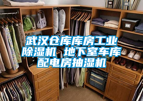 武漢倉庫庫房工業(yè)除濕機 地下室車庫配電房抽濕機