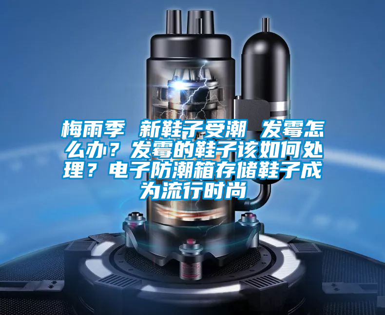 梅雨季 新鞋子受潮 發霉怎么辦？發霉的鞋子該如何處理？電子防潮箱存儲鞋子成為流行時尚