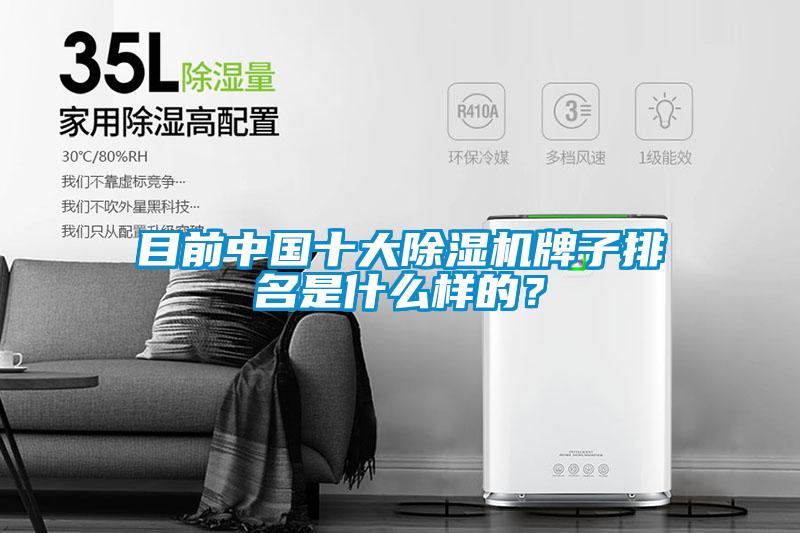 目前中國十大除濕機牌子排名是什么樣的？