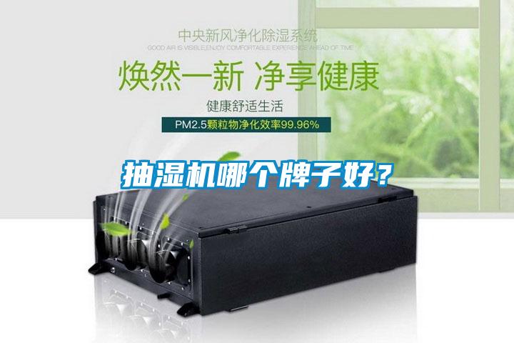 抽濕機哪個牌子好?