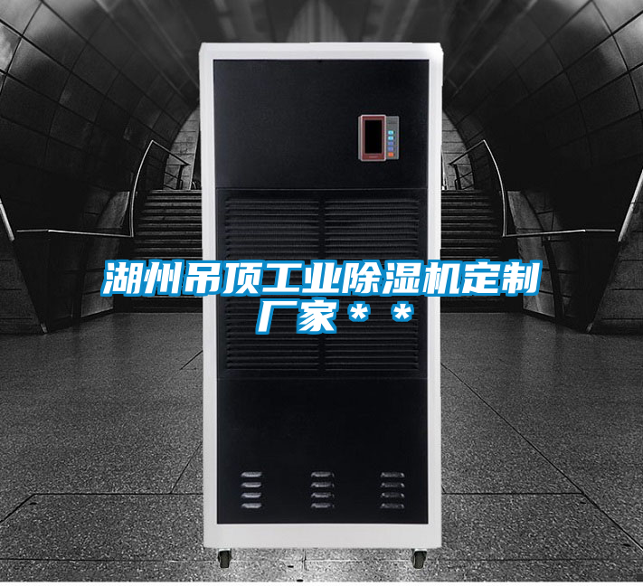 湖州吊頂工業(yè)除濕機(jī)定制 廠家**