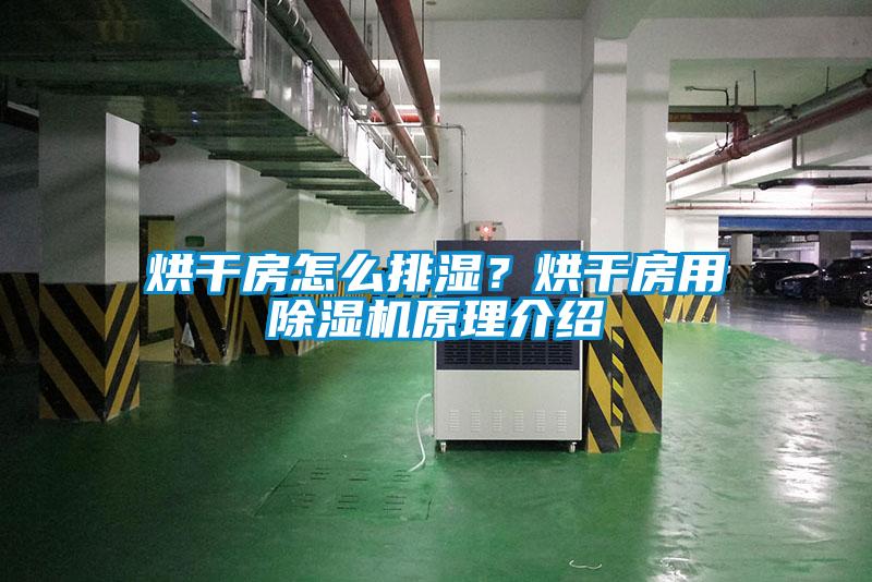 烘干房怎么排濕？烘干房用除濕機(jī)原理介紹