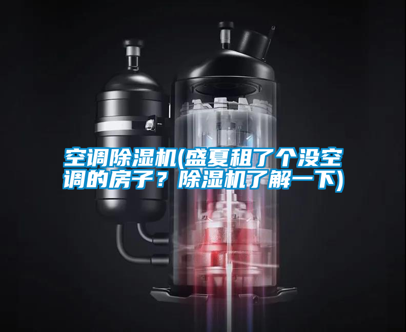 空調(diào)除濕機(jī)(盛夏租了個(gè)沒(méi)空調(diào)的房子？除濕機(jī)了解一下)
