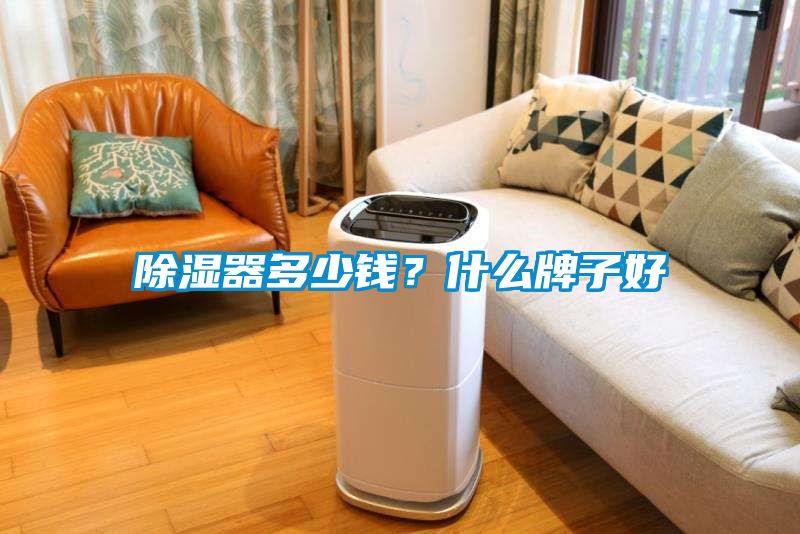 除濕器多少錢(qián)？什么牌子好