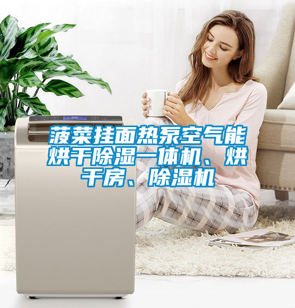 菠菜掛面熱泵空氣能烘干除濕一體機、烘干房、除濕機
