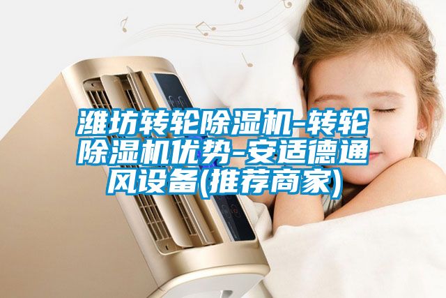 濰坊轉(zhuǎn)輪除濕機-轉(zhuǎn)輪除濕機優(yōu)勢-安適德通風設備(推薦商家)