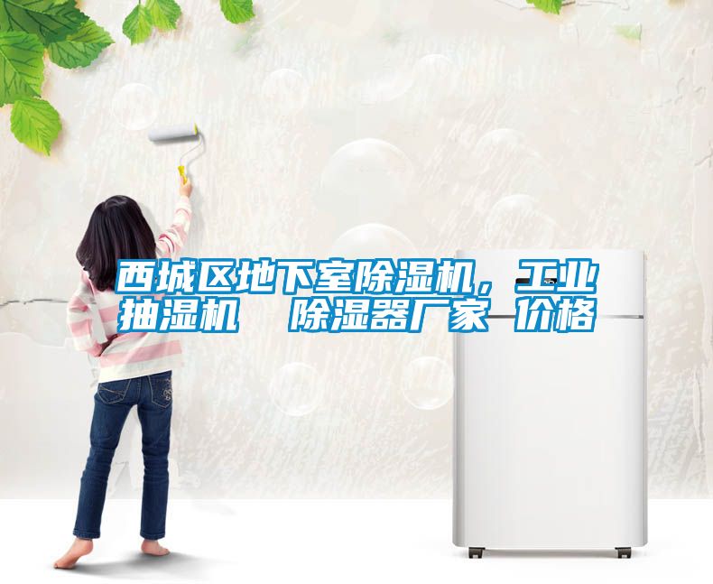 西城區地下室除濕機，工業抽濕機  除濕器廠家 價格