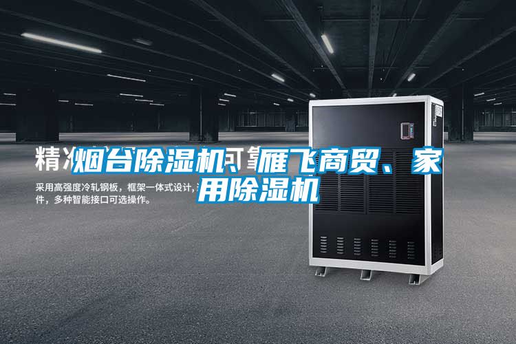 煙臺除濕機、雁飛商貿、家用除濕機