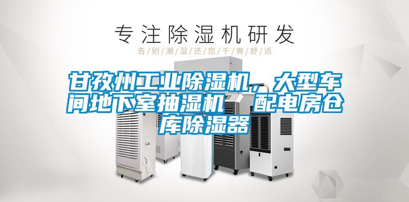甘孜州工業(yè)除濕機,大型車間地下室抽濕機 配電房倉庫除濕器