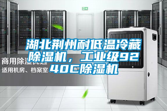 湖北荊州耐低溫冷藏除濕機(jī)，工業(yè)級(jí)9240C除濕機(jī)