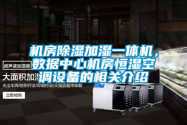 機房除濕加濕一體機，數(shù)據(jù)中心機房恒濕空調(diào)設備的相關介紹