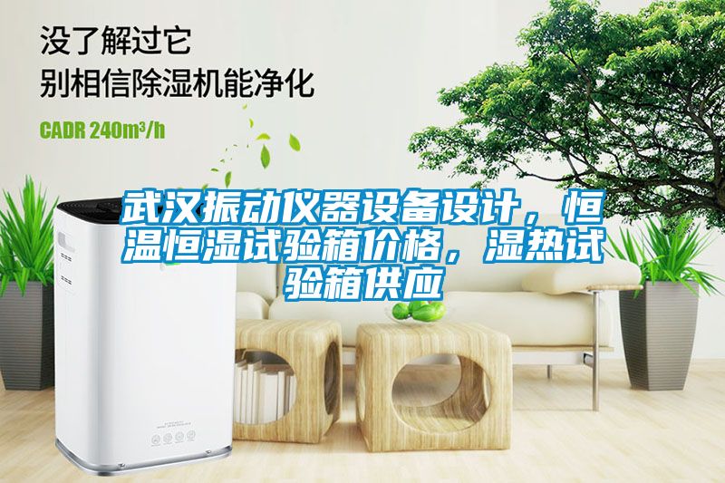 武漢振動(dòng)儀器設(shè)備設(shè)計(jì)，恒溫恒濕試驗(yàn)箱價(jià)格，濕熱試驗(yàn)箱供應(yīng)