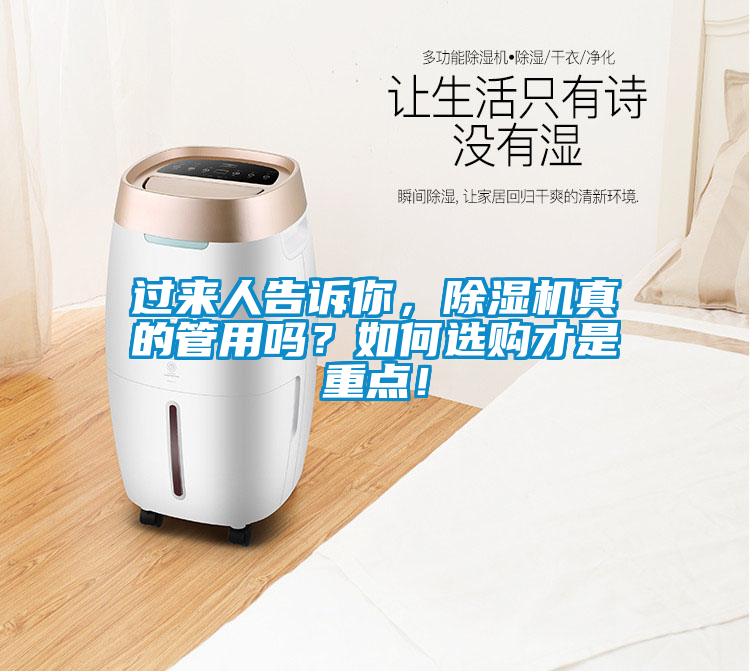 過來人告訴你，除濕機真的管用嗎？如何選購才是重點！