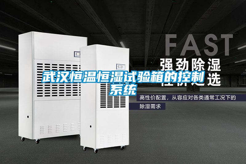 武漢恒溫恒濕試驗(yàn)箱的控制系統(tǒng)