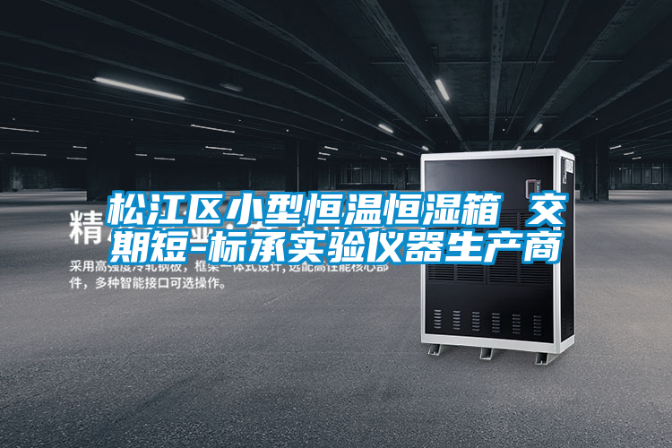 松江區(qū)小型恒溫恒濕箱 交期短-標承實驗儀器生產商