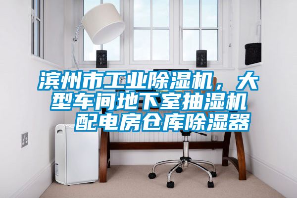 濱州市工業除濕機，大型車間地下室抽濕機  配電房倉庫除濕器