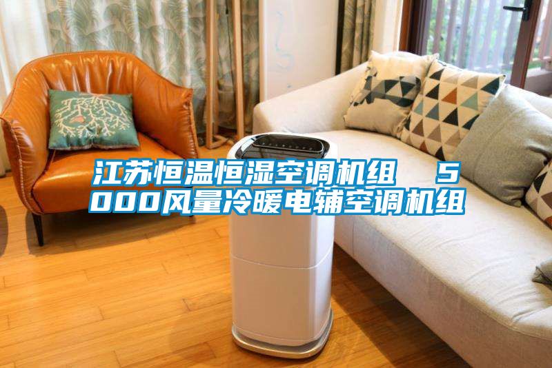江蘇恒溫恒濕空調(diào)機組  5000風量冷暖電輔空調(diào)機組