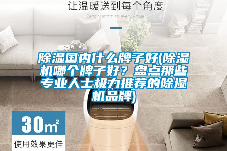 除濕國內什么牌子好(除濕機哪個牌子好？盤點那些專業人士極力推薦的除濕機品牌)
