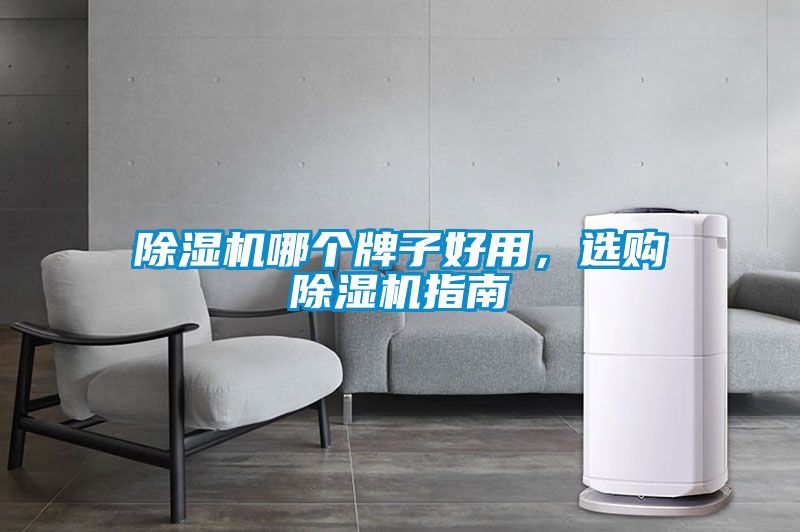 除濕機哪個牌子好用，選購除濕機指南