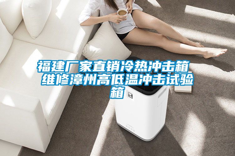 福建廠家直銷(xiāo)冷熱沖擊箱 維修漳州高低溫沖擊試驗(yàn)箱
