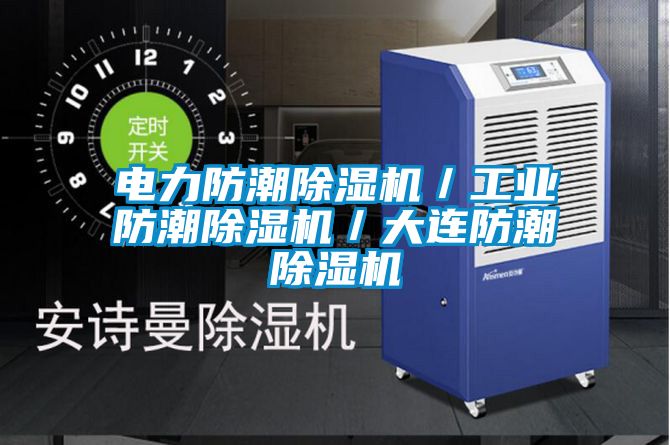 電力防潮除濕機/工業(yè)防潮除濕機/大連防潮除濕機